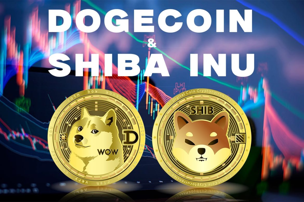 Dogecoin and the Shiba Inu: Dogecoin is failing to stabilize