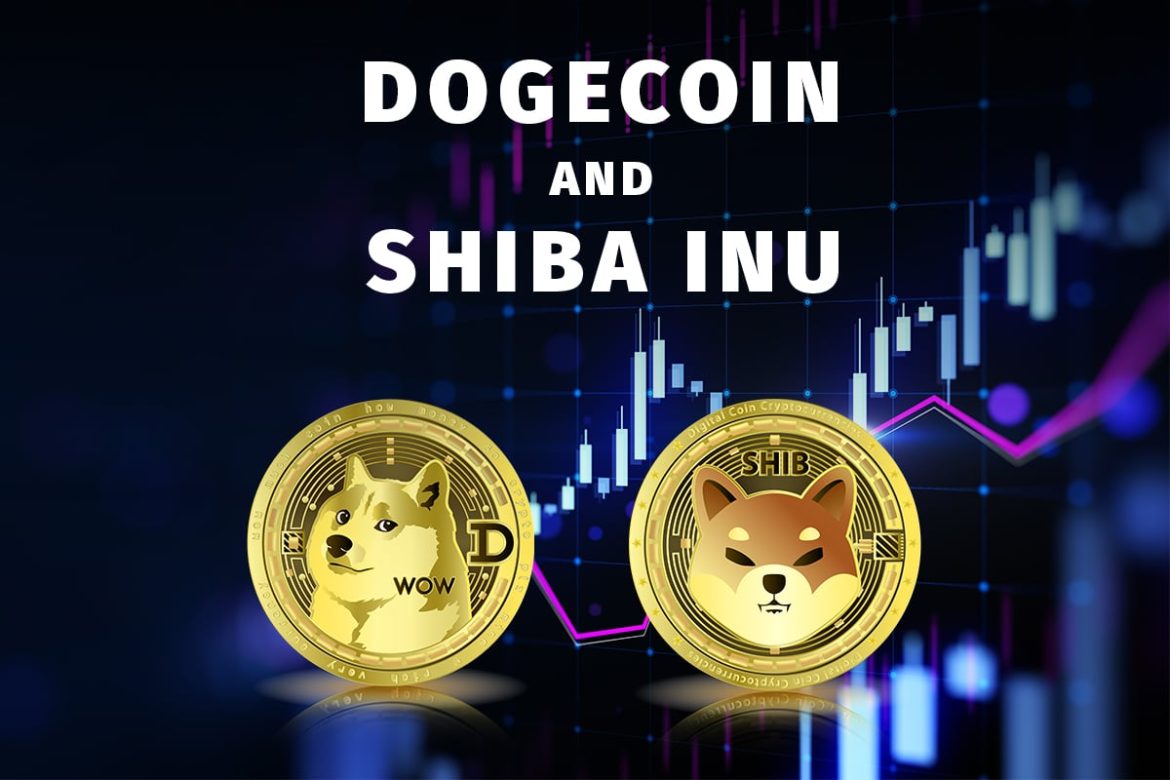 Dogecoin and Shiba Inu: Dogecoin pulled back to a new low